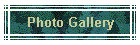 Photo Gallery