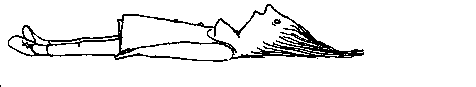 Lazy Jane Image